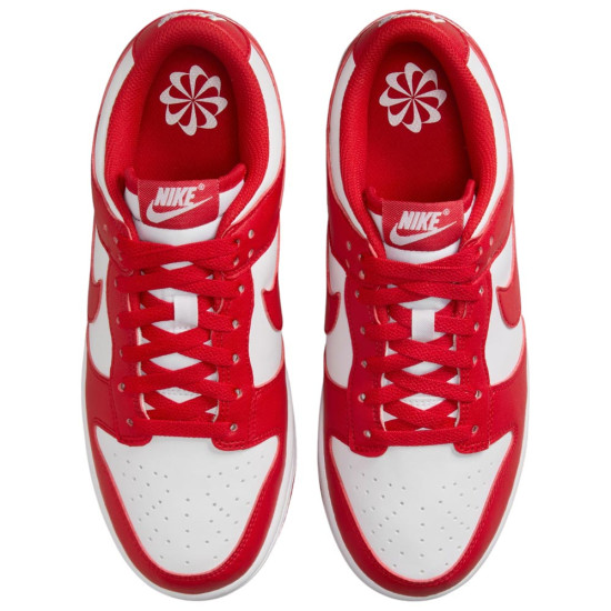 Nike Dunk Low Next Nature W